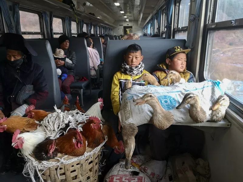 第三届全球华人旅拍大赛 第31张 第三届全球华人旅拍大赛 第31张